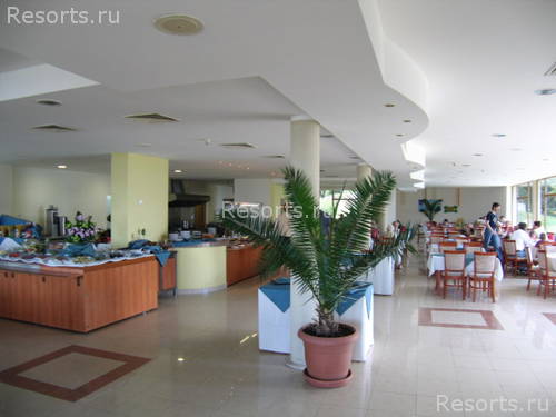 Dolphin Hotel 5